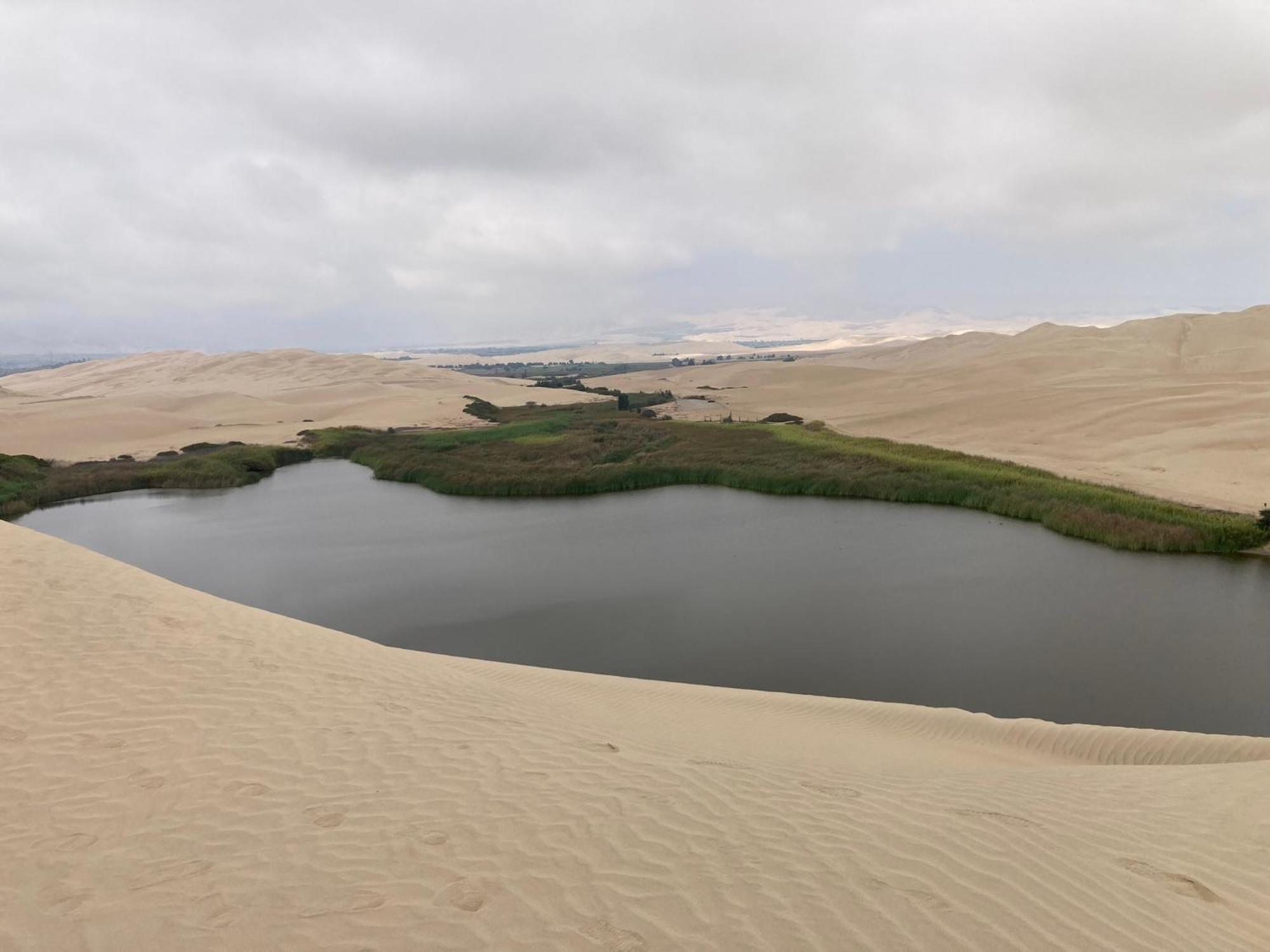 Paracas Camp Lodge & Experiences Exterior foto